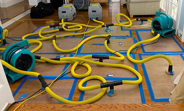 Professional Sewage Cleanup technician working in Bellefontaine, OH